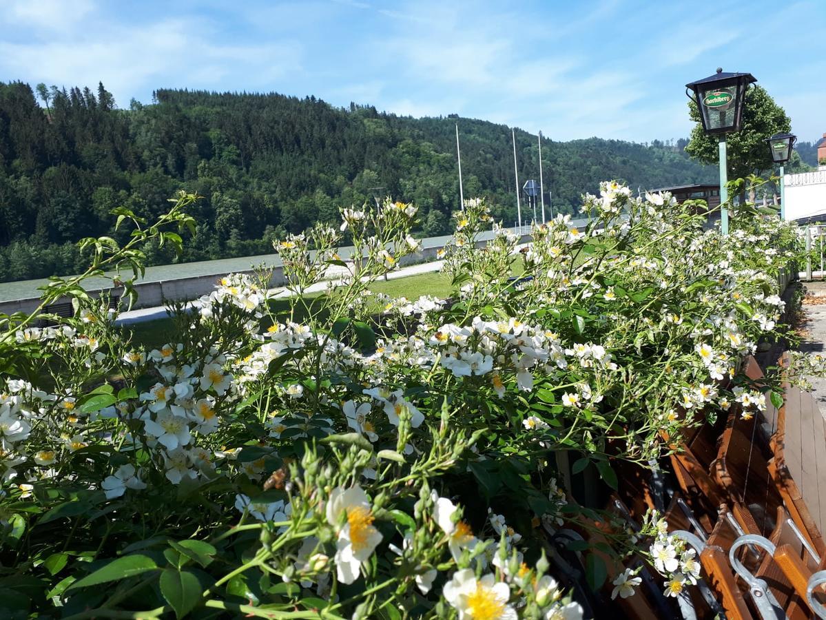 فندق Obernzellفي  Gasthof Alte Schiffspost المظهر الخارجي الصورة